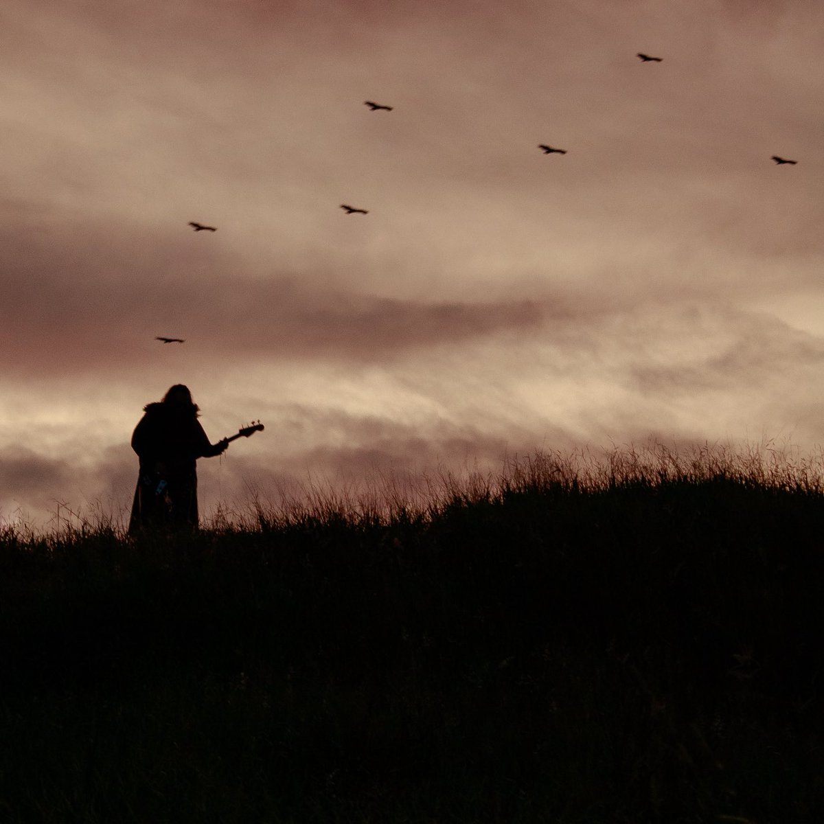 GuardianofLigh2's tweet image. Birds Flying! Sound of Thunder vídeo! photo by vania_tessaro see now m.youtube.com/watch?v=CLb7iC… #thundermetal #leadbass #eclipserecords #vania_tessaro