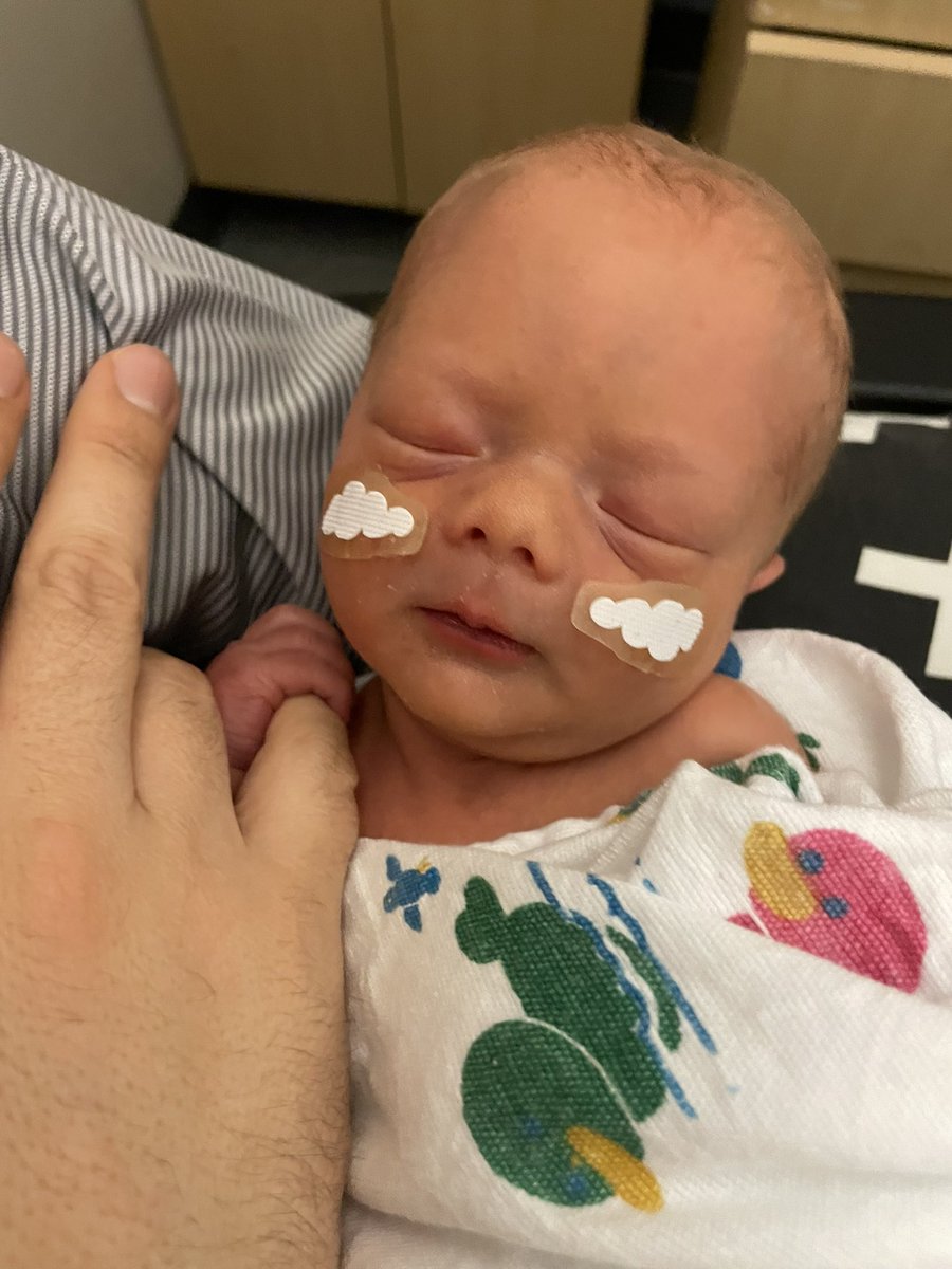 Dave Haller tweet media