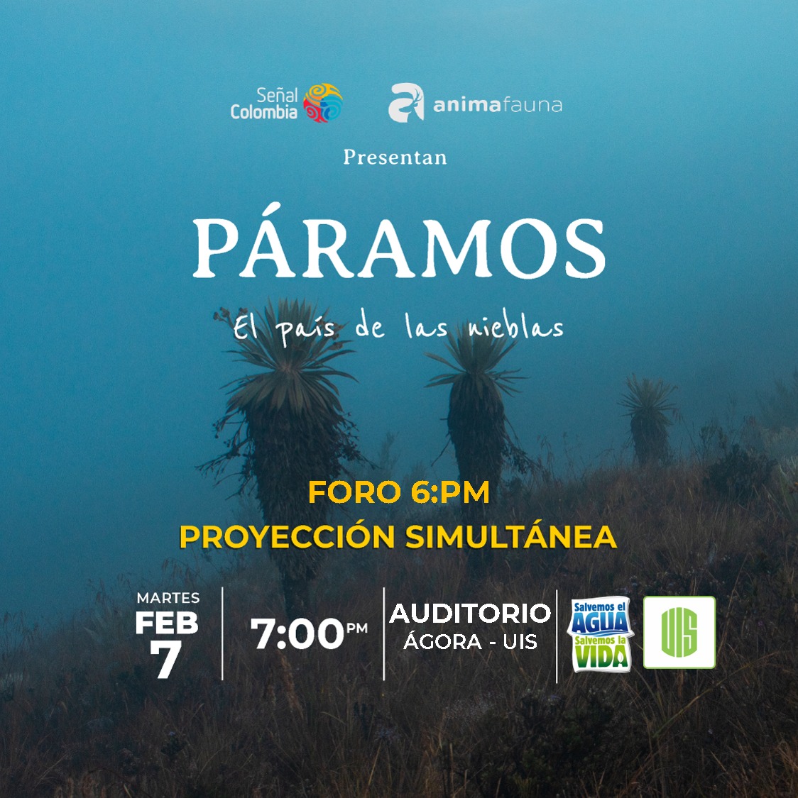 Comité Santurbán tweet media