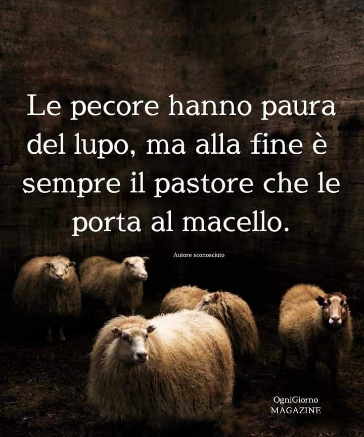 Crudele ma vera