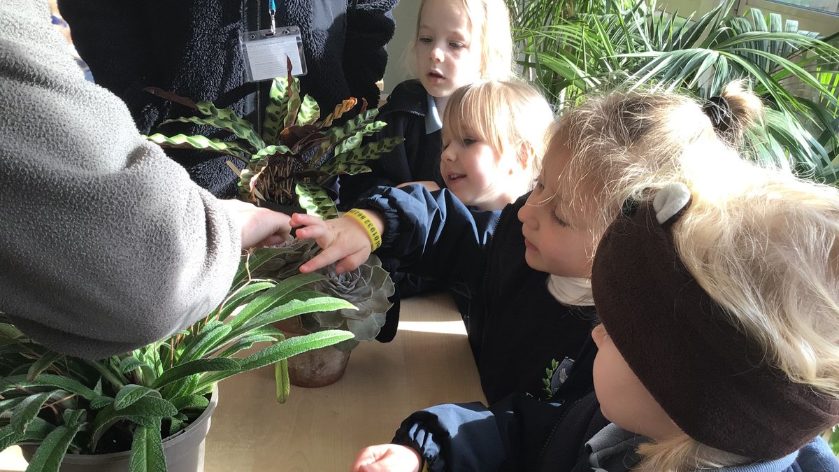 Feltonfleet's tweet image. Reception had a fantastic trip to @RHSWisley  Gardens today! The children enjoyed their ‘How Plants Grow’ workshops and planted their own calendula plants to bring home. Thank you to all the staff for a brilliant day! #younggardeners #lovingnature #outdoorlearning #PrePrep
