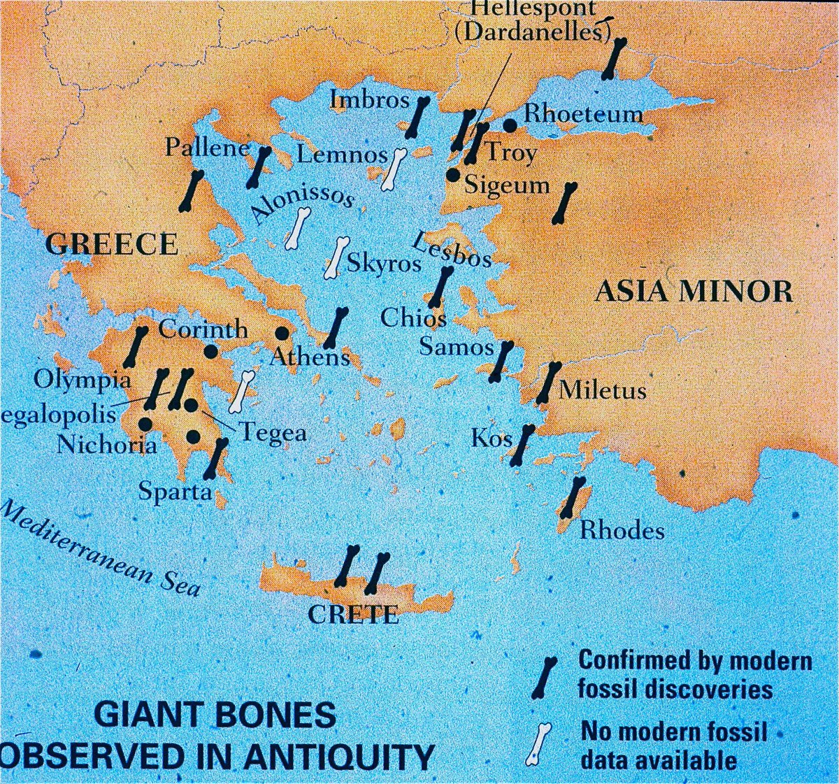 amayor's tweet photo. What did ancient people think about huge fossils of extinct creatures?
Find out in #FirstFossilHunters
@amayor & Pleistocene woolly rhino femur collected by ancient Greeks at Nichoria
Ana Pinto & mammoth fossil thigh bone
Map of ancient discoveries of fossil beds
#FossilFriday https://t.co/0KmhZ5tLP1