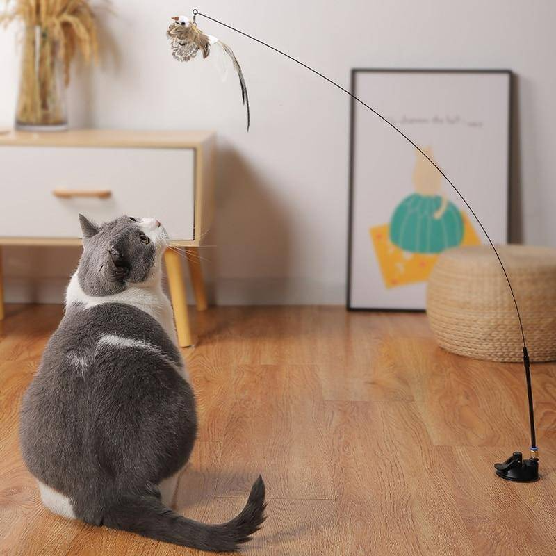 onlineneatstuff's tweet image. Cat Simulation toy Bird interactive
Cat me if you can
GET YOURS HERE&amp;gt;&amp;gt;&amp;gt;tinyurl.com/5dfwfju6
#catsimulation #toybird #interactivecat #catmeifyoucan #readyourshere