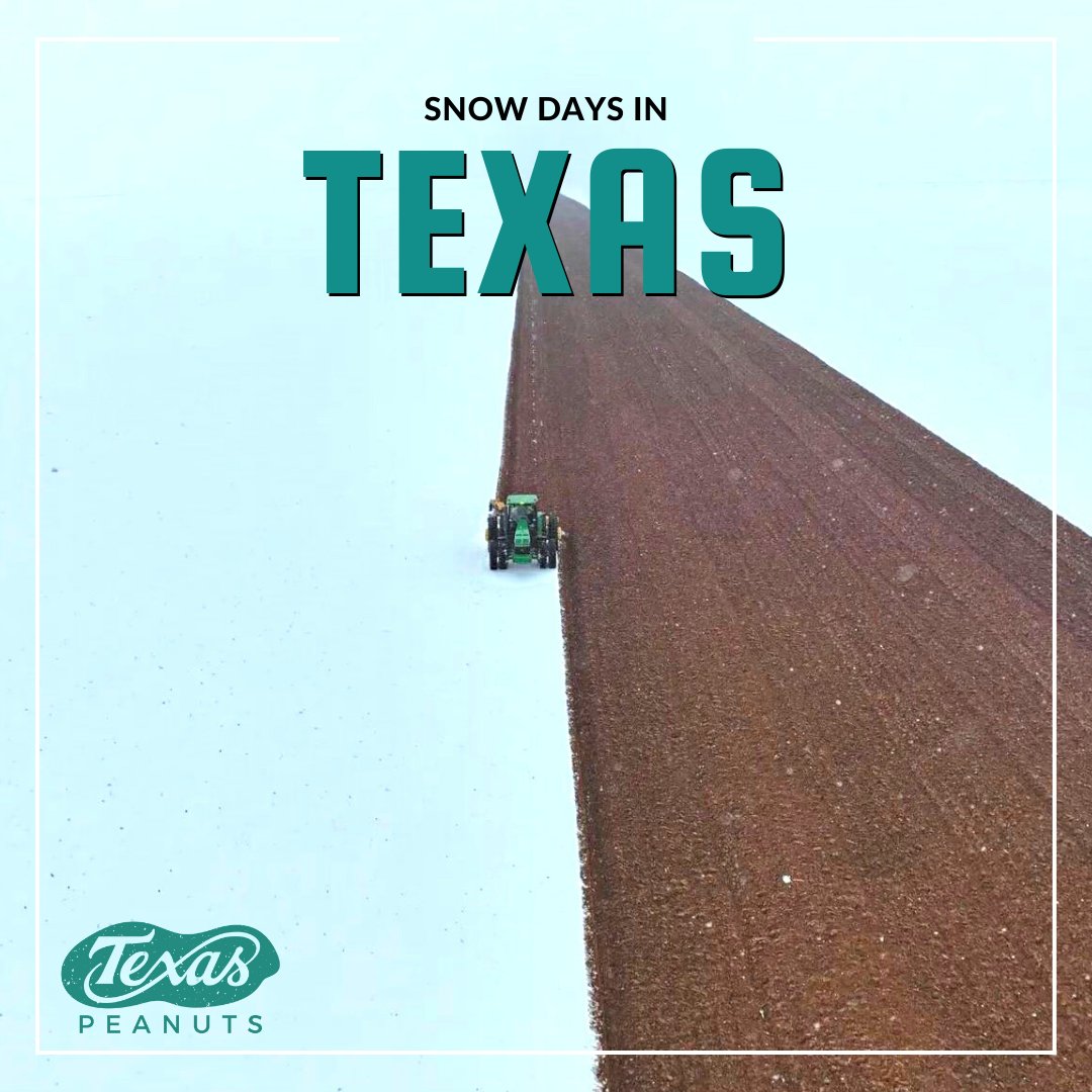 For the past two weeks, the weather has been crazy and unpredictable across Texas, yet farmers across the state could not be more excited about the moisture this weather brought.

TPPB wants everyone to stay safe and warm. 
•
Picture Credit: Oobree Martens 
#TexasPeanuts
