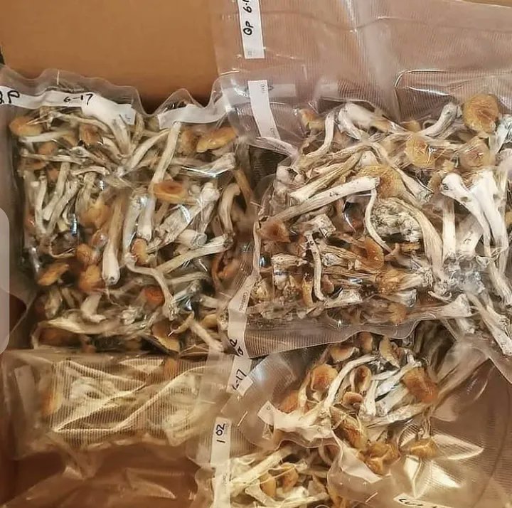 Istoe_1's tweet photo. How much does shrooms cost where you at?
#Calibuds #Cannabiscomunity #Mmemberville #Writeweed #Stoners #Cannabisculture #Cannabislife #Cannabislegalization #Weedlovers #Weedsmokers #Weedgrowers #Weedlife #Weedgroups #Cookies #Vapepens #Concentrate #Edibles #Cbd #Wax #Mushrooms https://t.co/1Mie0tArGC