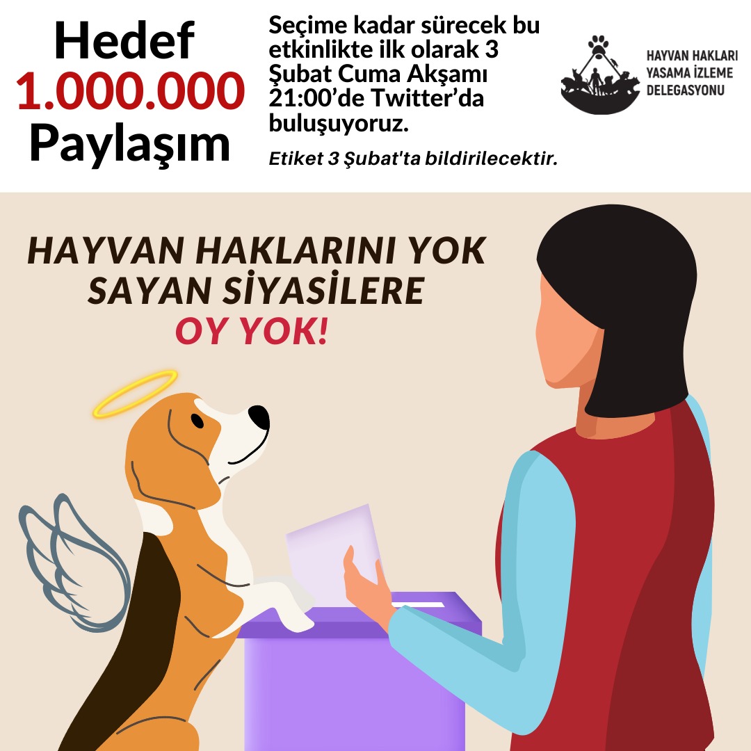 Dilek Özkan (🌱) (@mediozkan20) on Twitter photo 