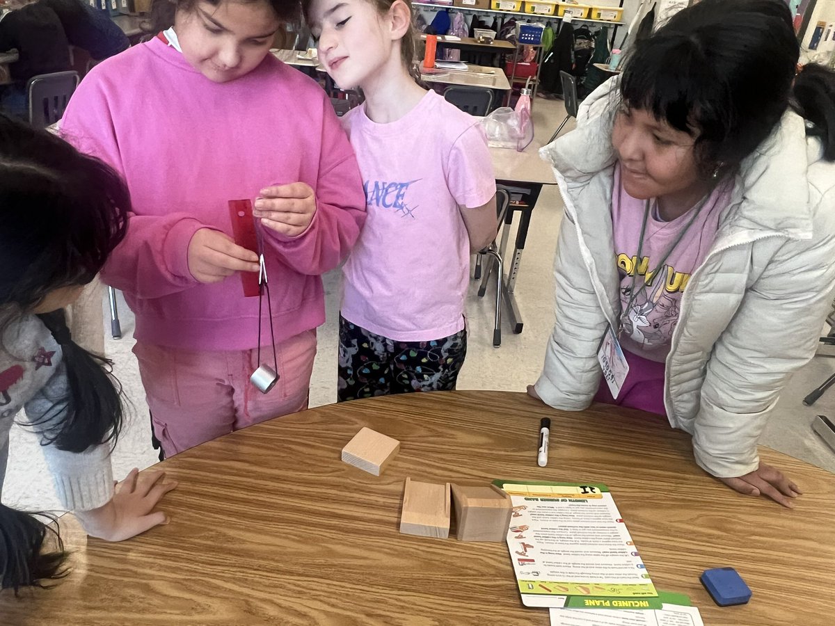 Nizama Dervisevic Shearer tweet media