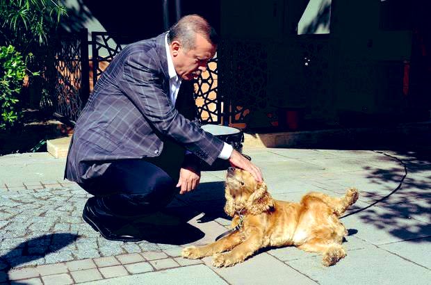 “ Aferin sana, hep sadık ol ve asla nankörlük etme, Aferin  Aferin“ 

*İpi çözüldükten sonra Asla bir köpekte olsa ihanet etmez aslında