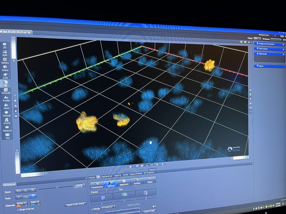 Benham-Pyle Lab tweet media