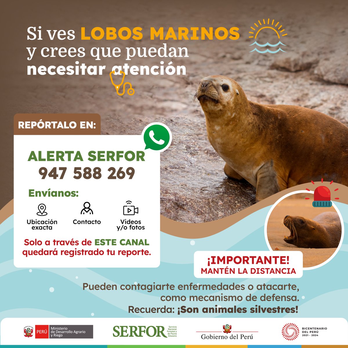 Serfor Perú tweet media