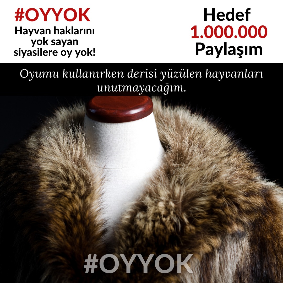 Dilek Özkan (🌱) (@mediozkan20) on Twitter photo 