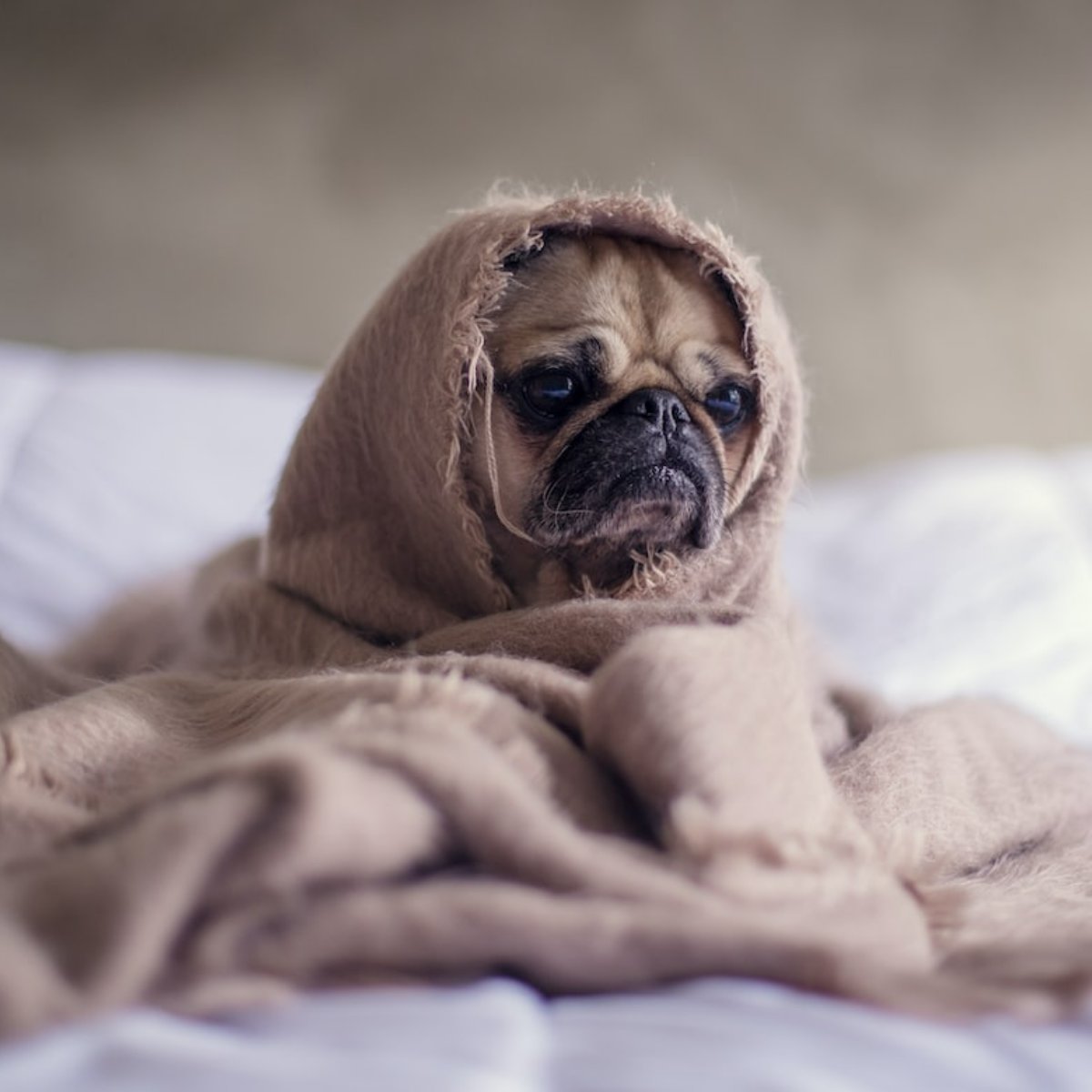 Stay warm and cozy all winter long by keeping our number handy in case of an emergency: (678) 697-2305.