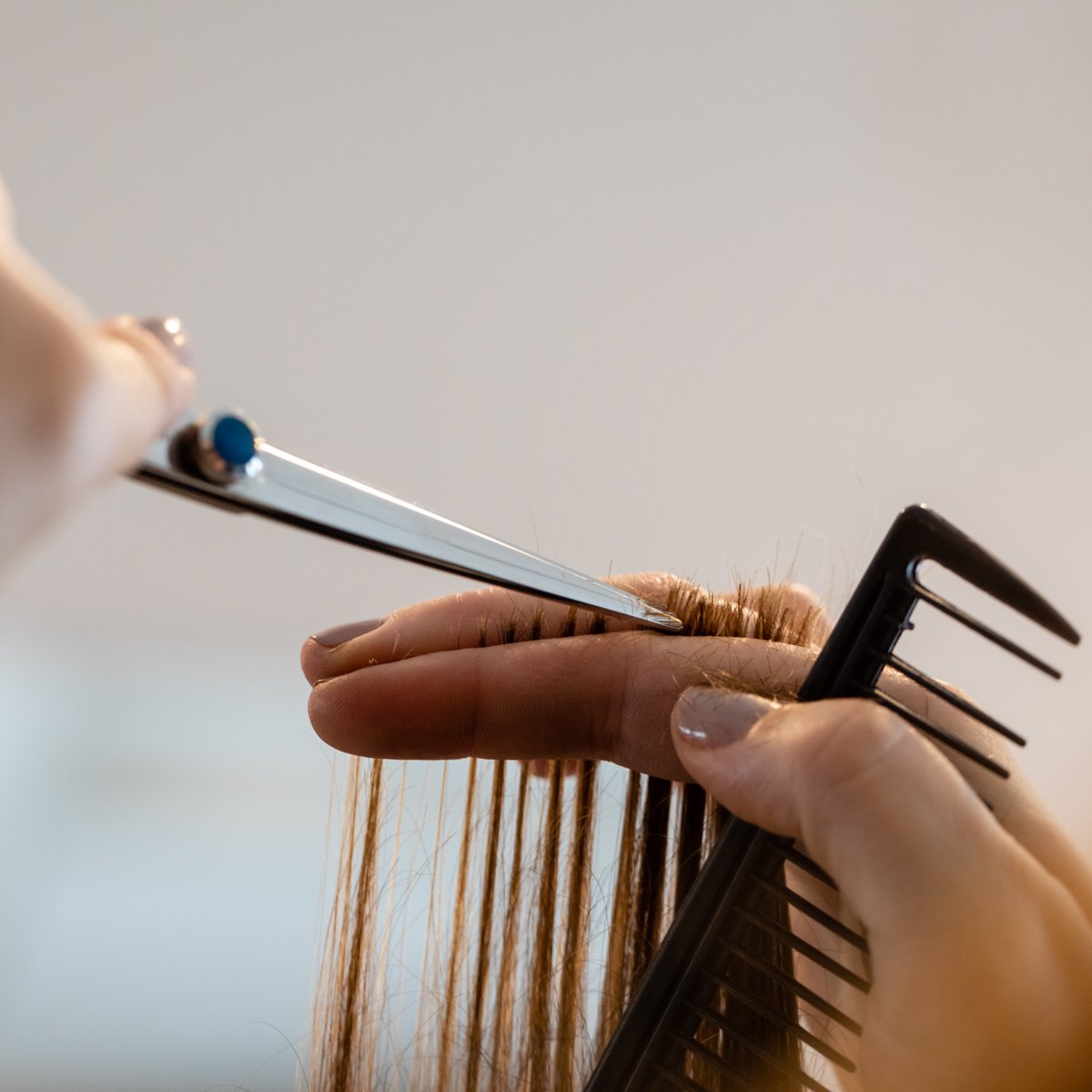 AzureSalonAlcoa's tweet photo. When's the last time you had your hair trimmed? We'd be glad to help you schedule an appointment: (865) 981-9989! https://t.co/uIWSzo9baK