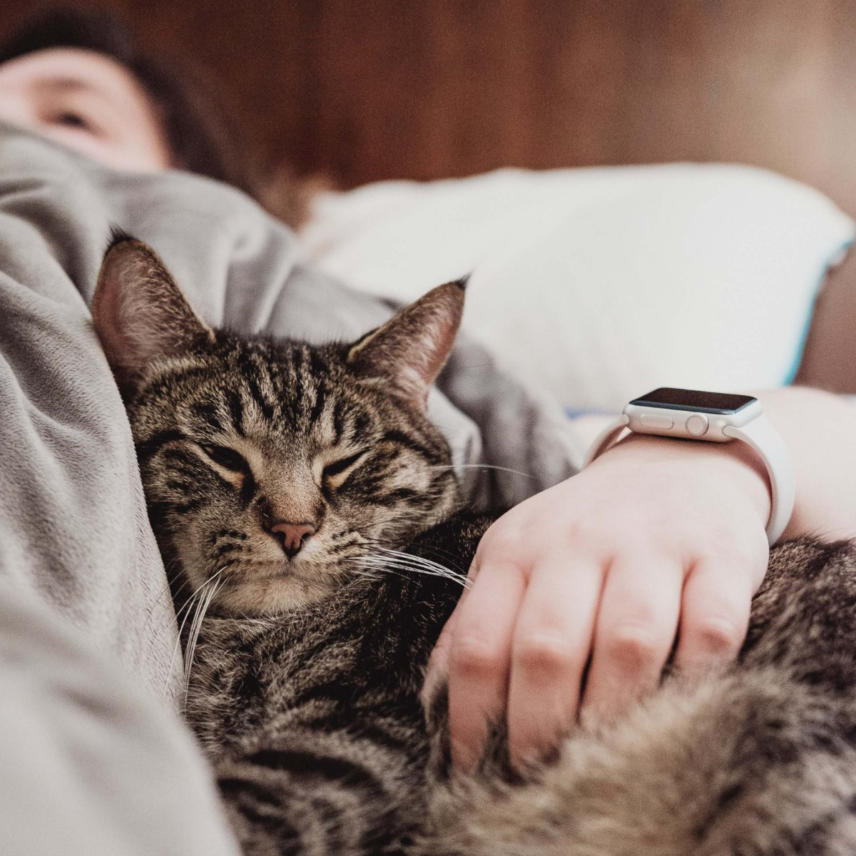 AnimalMedicIL's tweet photo. Pets make a big impact on our lives by providing unconditional love. Share a memory about your pet that left a loving paw print on your heart. https://t.co/5iuYi4HUBt