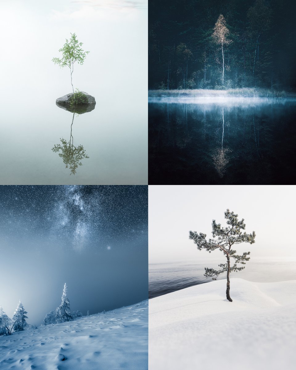 Resilience.

Excited to share my new collection.