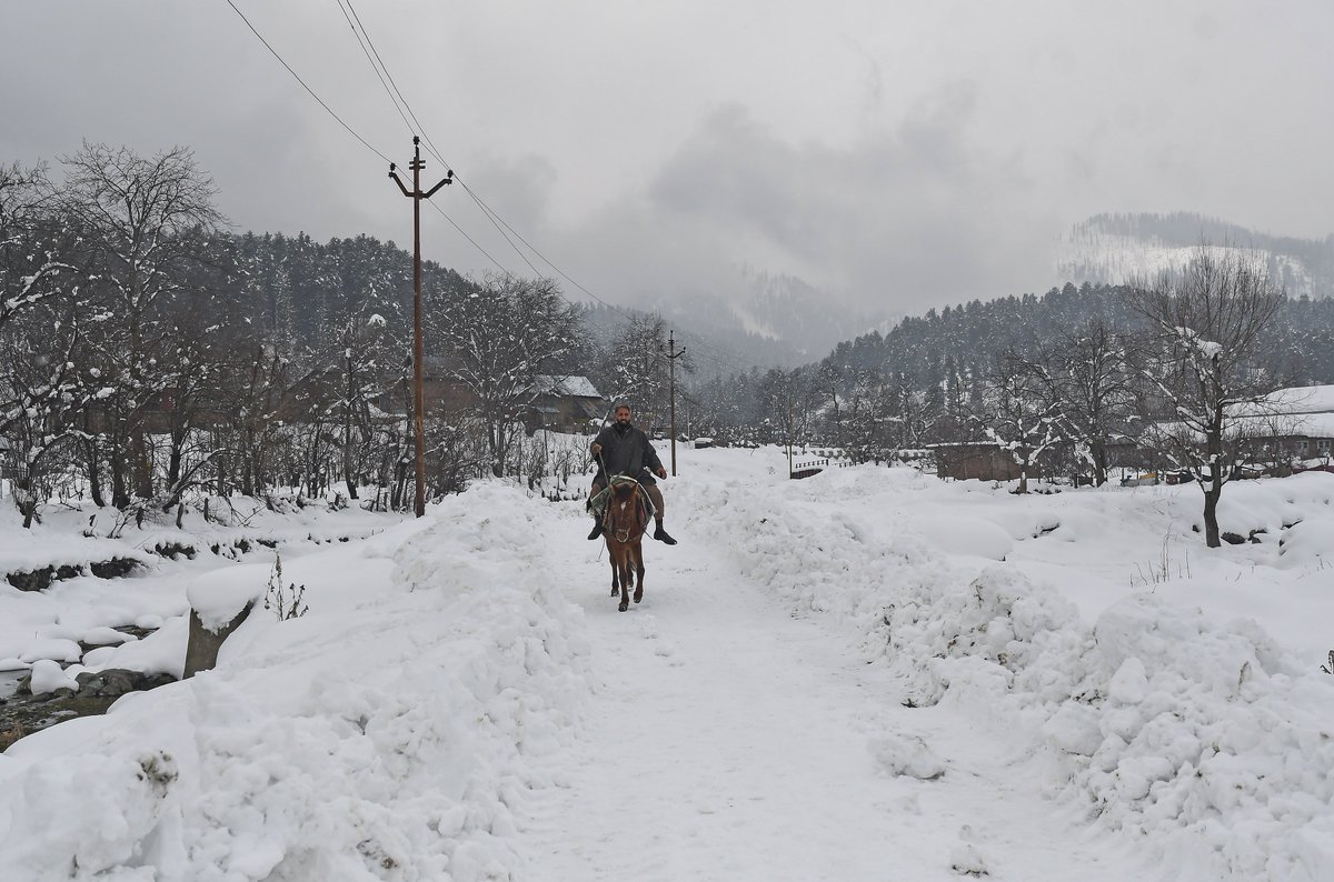 bhat_abid's tweet photo. #Shopian #lifeinwinter #Kashmir #horse #snow https://t.co/cprO3PATlA