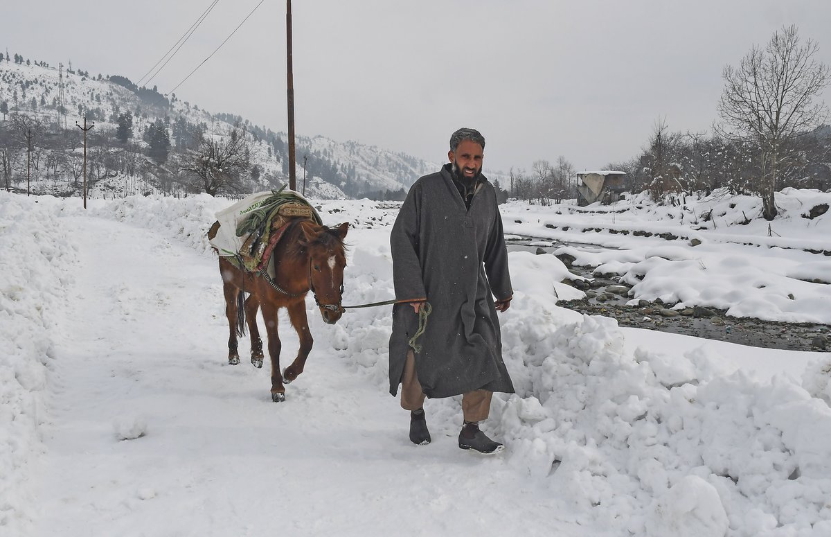 bhat_abid's tweet photo. #Shopian #lifeinwinter #Kashmir #horse #snow https://t.co/cprO3PATlA