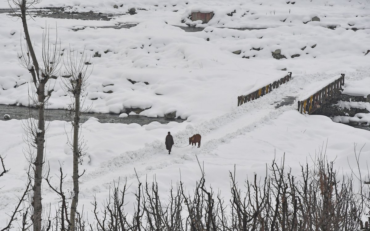bhat_abid's tweet photo. #Shopian #lifeinwinter #Kashmir #horse #snow https://t.co/cprO3PATlA