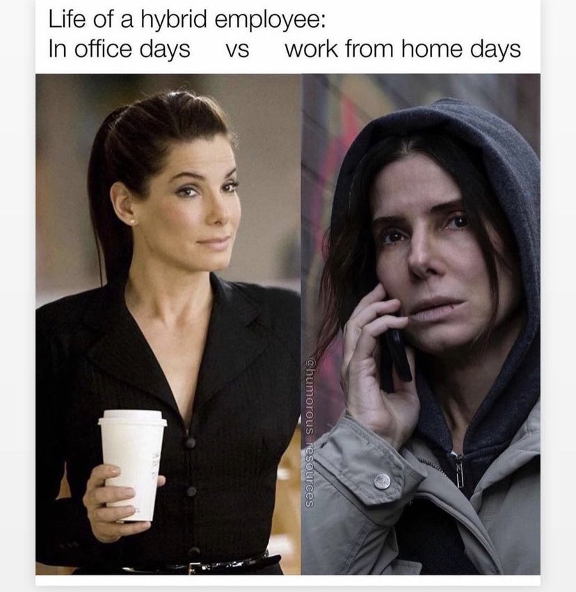 Lara Timms tweet media