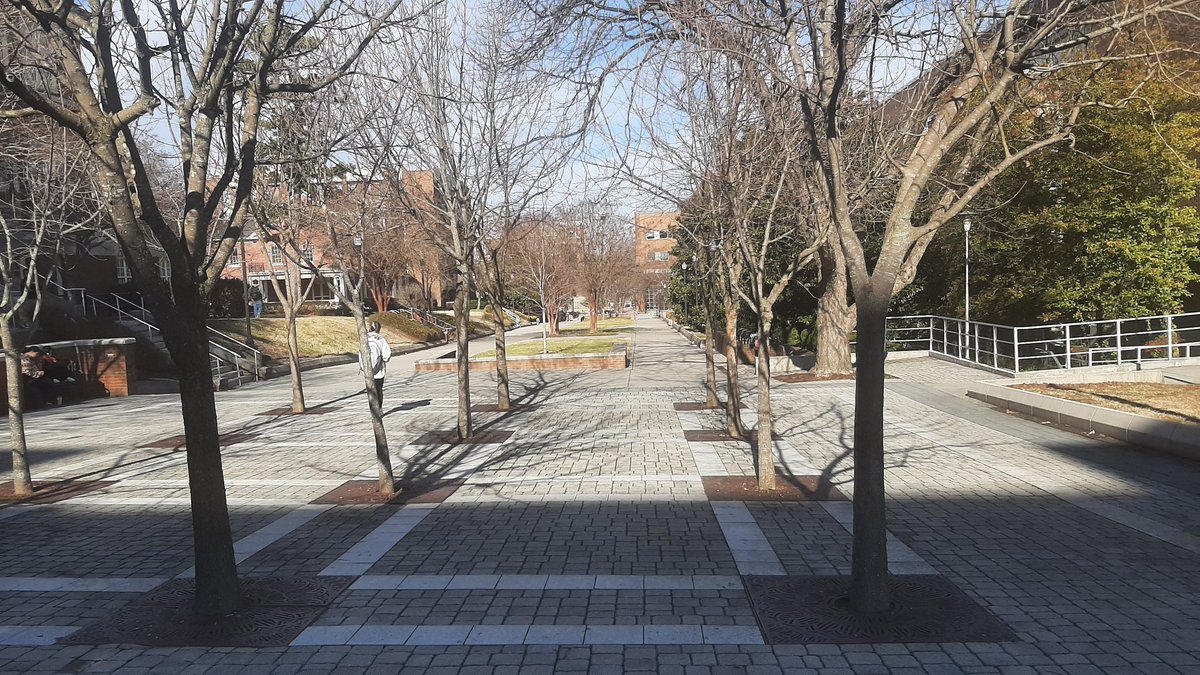 Joshua Ajowele tweet media