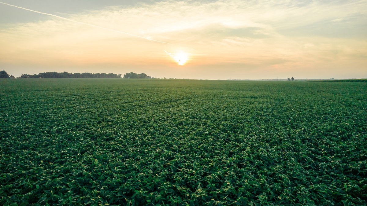FarmlandPrtnrs's tweet photo. Start your day off with a sunrise from our beautiful Pendarvis East farm in Warren County, IL. #FarmFeatureFriday. https://t.co/koj3o2h41U. https://t.co/wR2aqQAXG4