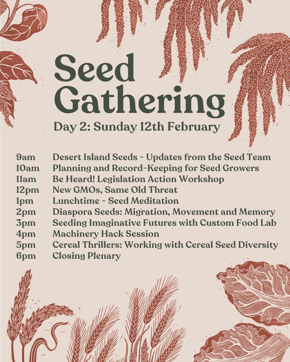 #ICYMI, <a href="/SeedSov/">SeedSovereigntyUkIreland</a>'s Seed Gathering programme is now live! Inc:

🗺️ Diaspora seeds
🌼 Queer botany
🌾 Landrace gardening
👩‍⚖️ GM &amp; seed legislation

There's still time to get tix &amp; join us online across Sat 11th-Sun 12th Feb: seedsovereignty.info/events/seed-ga…

Plus #SeedWeek kicks off on Mon!