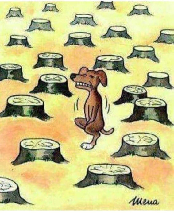 You know the feeling. Now let's stop deforestation.
