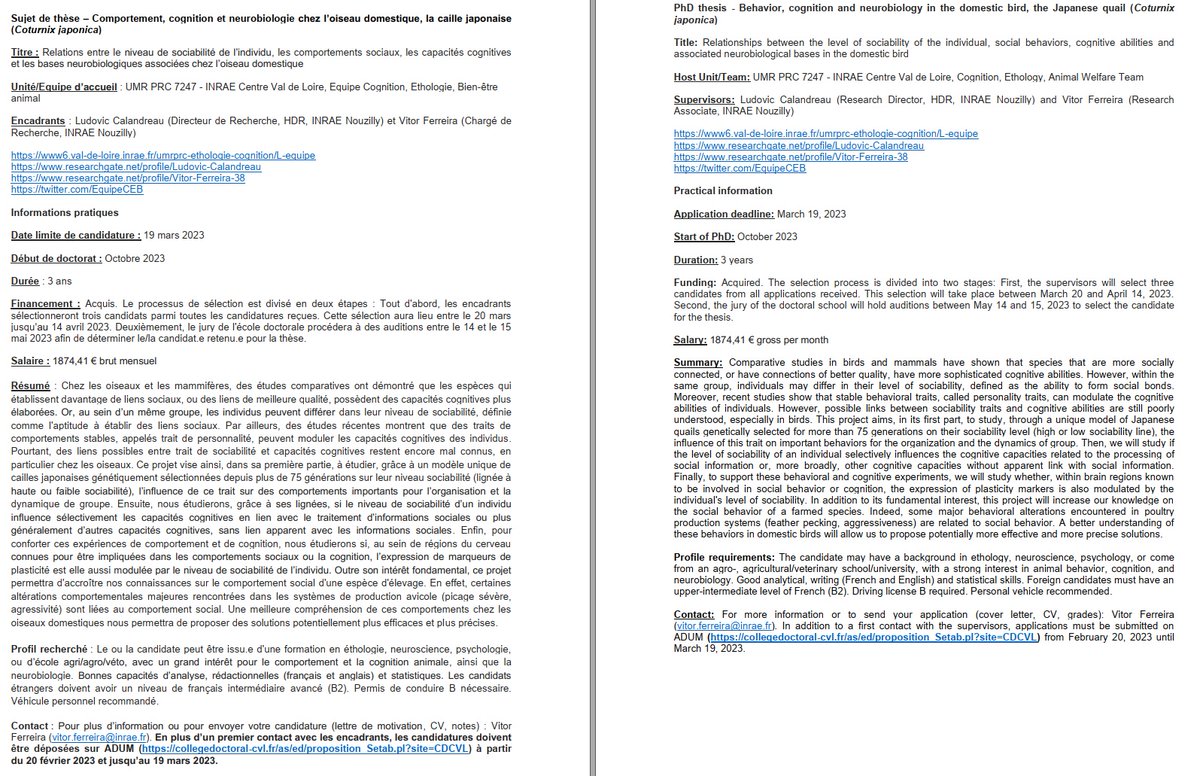 Equipe Cognition, Ethologie, Bien-être Animal tweet media