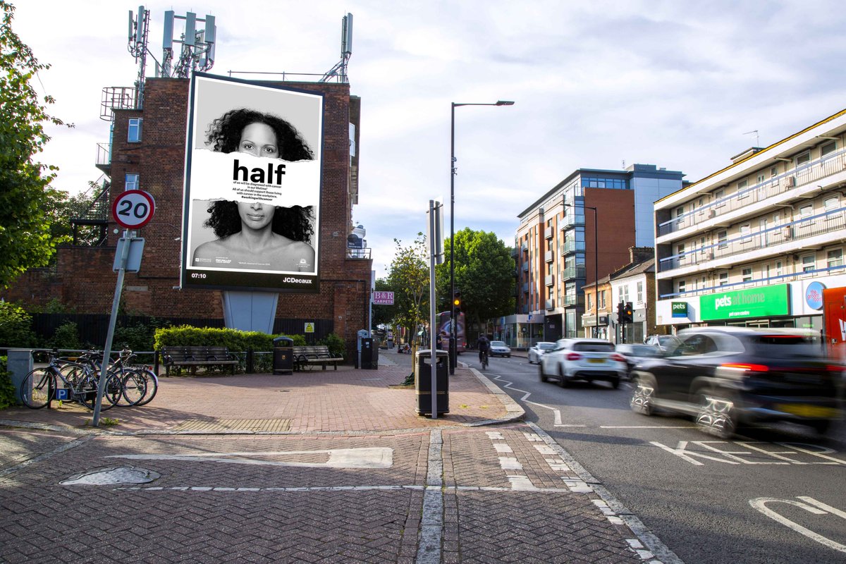 Sue Frogley tweet media