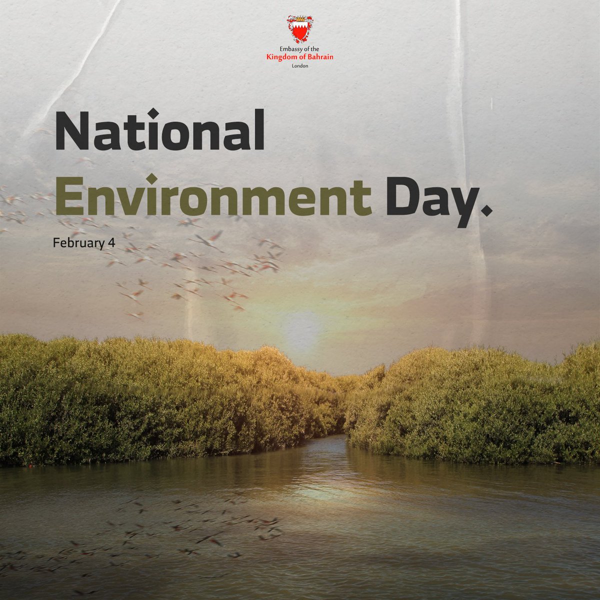 On #NationalEnvironmentDay, we celebrate the majestic landscapes &amp; vibrant wildlife that make 🇧🇭 unique, pledging to protect &amp; preserve these treasures for future generations. Tubli bay features a beautiful mix of well-protected green mangrove forests &amp; 🇧🇭’s modern skyline.