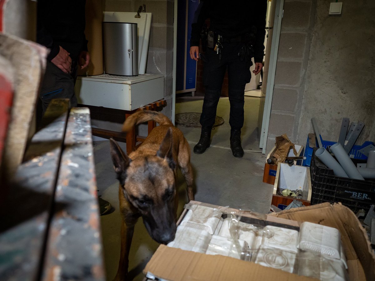 🐶 25 gossos d’Unitats Canines de Policies Locals de tota Catalunya participen a una jornada sobre cerca i detecció amb Unitats Canines a #Lloret 

👉 La jornada ha anat a càrrec d’un formador instructor expert provinent d’Alcobendas

➕ info 👉 lloret.cat/ndp-JornadaCan…

#mylloret