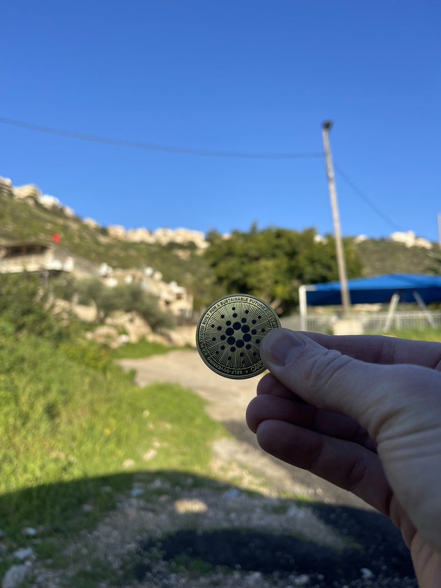 roman_liger's tweet photo. @Cardano_CF @Cardano Future https://t.co/Dkwcly5P2T