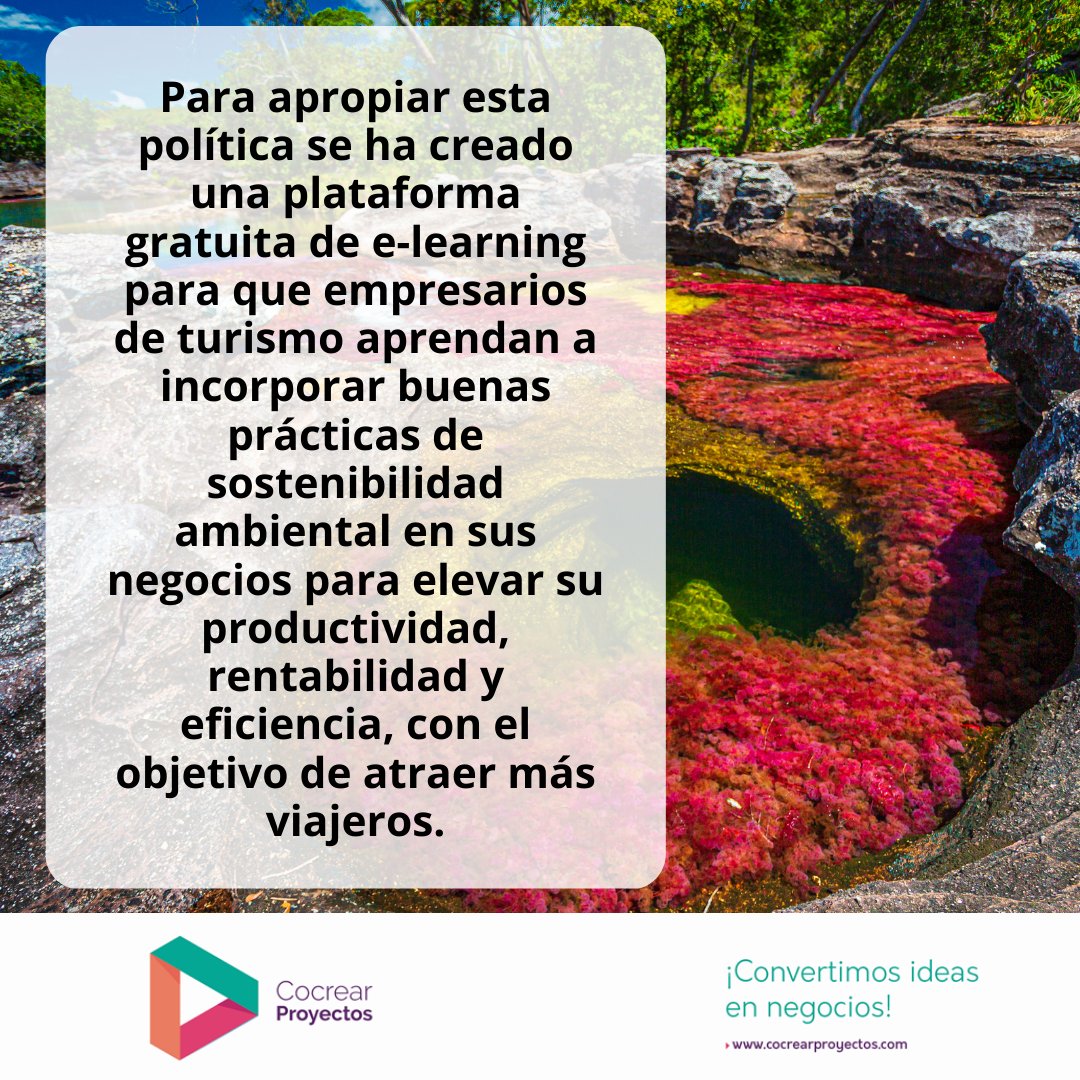 CocrearP's tweet photo. Conoce la política de #TurismoSostenible y accede a la plataforma e-learning para apropiar conocimiento y buenas prácticas ambientales para elevar la productividad, rentabilidad y eficiencia del sector, con el objetivo de atraer más viajeros al país @MincomercioCo @Col_Productiva https://t.co/kWlmRAWQUs
