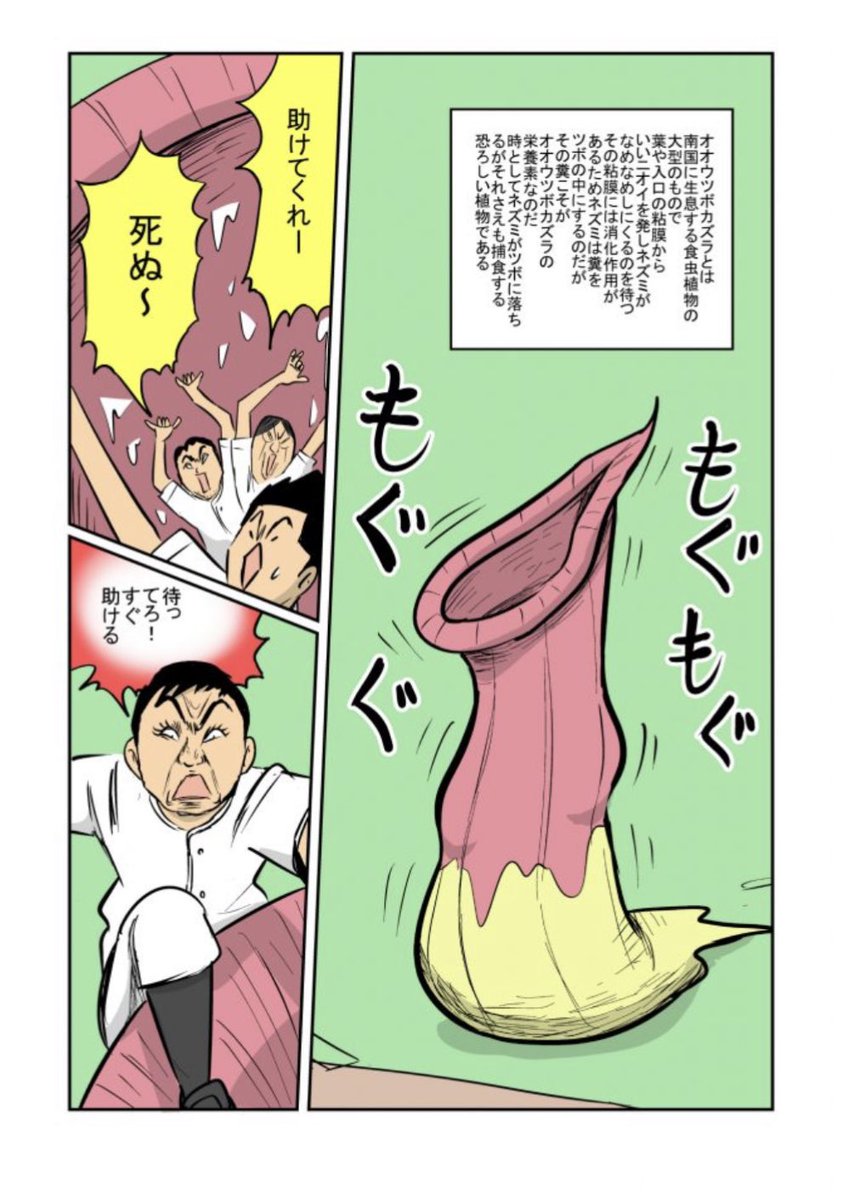 1勝22敗1分け
野球漫画ですが植物とも対戦していますよ!
https://t.co/CdgbS17PzH 