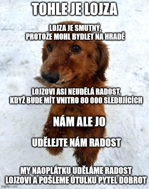 vnitro's tweet photo. Bude vás tu do konce víkendu přes 80 tisíc?

Nabízíme vám win-win situaci. Vy se budete dozvídat důležité novinky, Lojza a spol. zase dostanou něco dobrého 🦴 https://t.co/htDMw3M0xt
