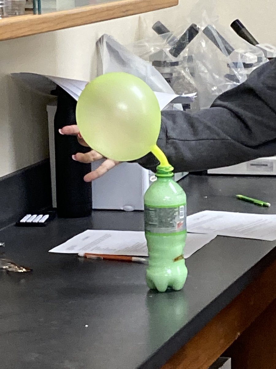 mdlamberty's tweet photo. Doing a “double displacement” lab in chemistry today. Kids had fun and this lab was much less “aromatic” than the ones earlier this week. Being a substitute teacher can be lots of fun! #yorkdukes https://t.co/4f57oPMrpW