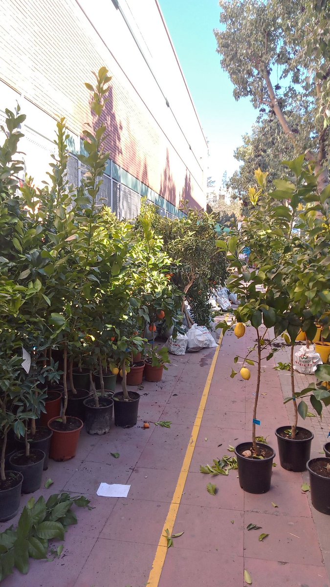 Avui he visitat i he fet el recorregut a la 172a <a href="/firacandelera/">LA CANDELERA</a> al poble de Molins de Rei en els seus carrers i plaçes.