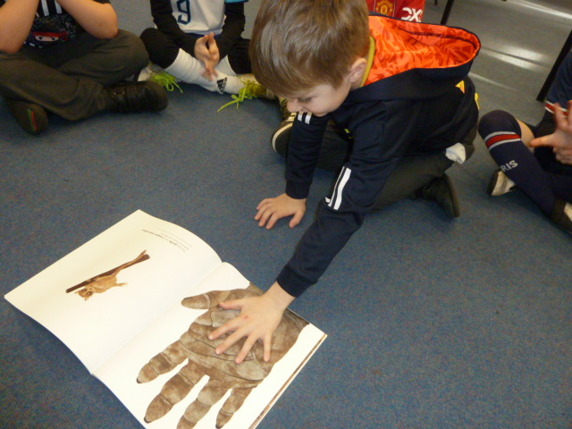 etonwickschool's tweet photo. Year 2 used the book 'Actual Size' by Steve Jenkins for #NumberDay. We compared our hand to a gorilla's hand and our foot to an elephant's foot. Then we measured the different animals parts with cubes and created a graph to display our results. https://t.co/0YK4lIi7Gz