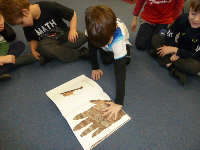 etonwickschool's tweet photo. Year 2 used the book 'Actual Size' by Steve Jenkins for #NumberDay. We compared our hand to a gorilla's hand and our foot to an elephant's foot. Then we measured the different animals parts with cubes and created a graph to display our results. https://t.co/0YK4lIi7Gz