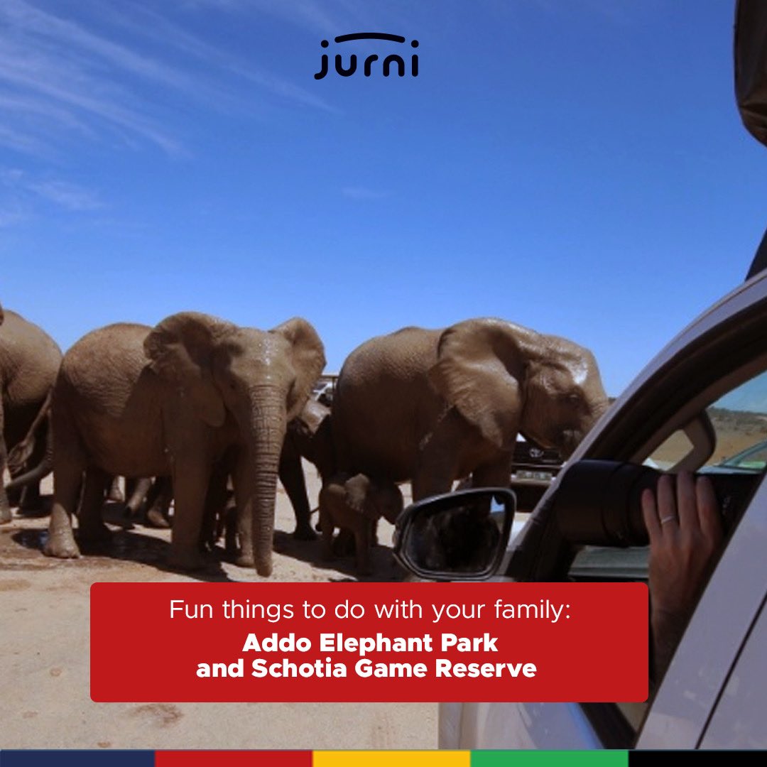 Includes:

- A pick up &amp; drop off from your accommodation establishment. 
- Entrance fees into the park 
- Full day guided game drive 
- Light lunch and refreshments.

Book now on with Jurni and enjoy your weekend with friends and family. 
#unpackyourjurni #weekend #exploremzansi
