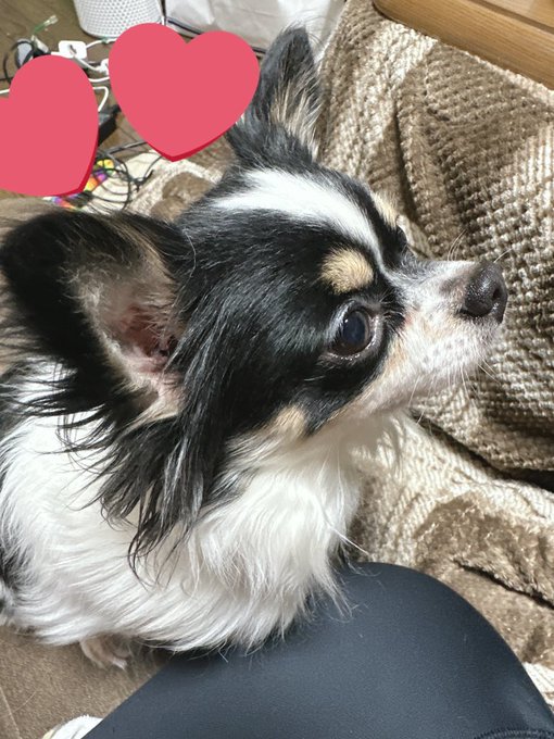 Twitterのコスプレ画像3