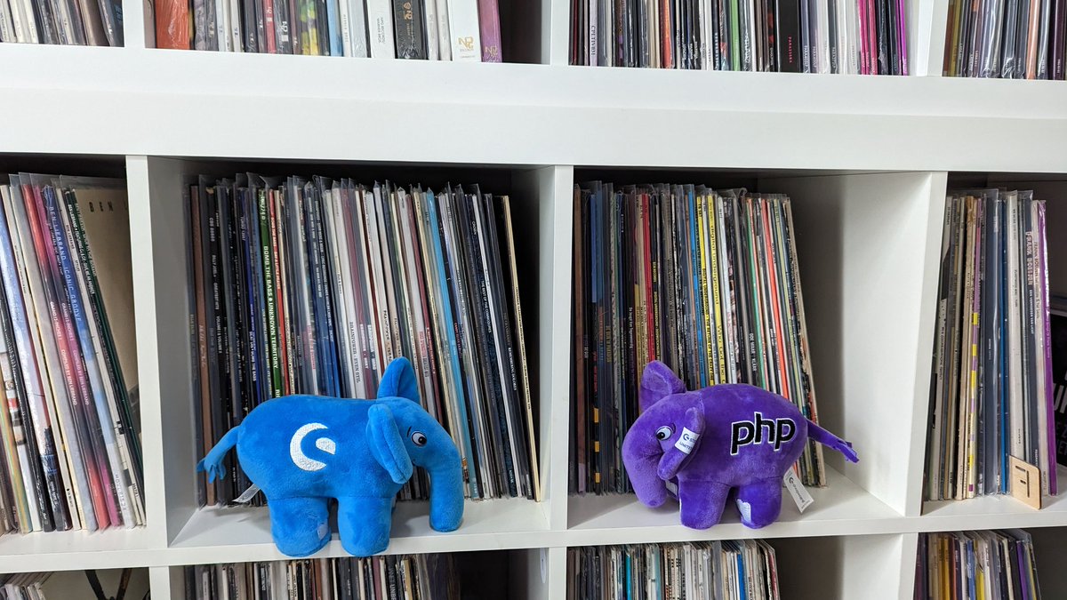 MarkWalravens's tweet photo. @ShopwareDevs @CodyBlou Cody has become a real vinyl lover in his home, together with his brother (or sister?) #codyshome #shopware #vinyl https://t.co/KT8juAOA0l