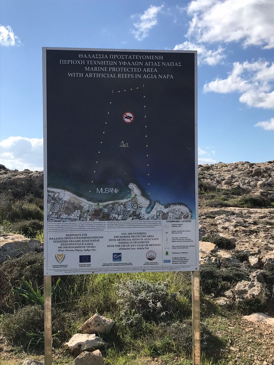 Dr. Lucy Blue tweet media