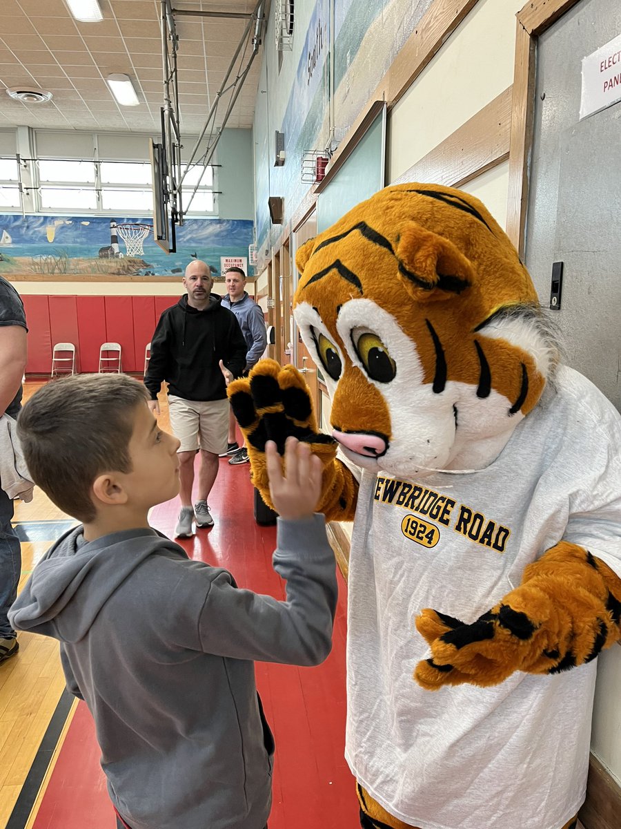 NbrPrincipal's tweet photo. Newbridge Day starts with a visit from Thunder the Tiger leading the Pledge of Allegiance. Then Thunder welcomed everyone into the spirit assembly. https://t.co/44LB1JIC3x