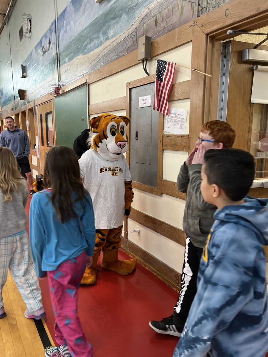 NbrPrincipal's tweet photo. Newbridge Day starts with a visit from Thunder the Tiger leading the Pledge of Allegiance. Then Thunder welcomed everyone into the spirit assembly. https://t.co/44LB1JIC3x