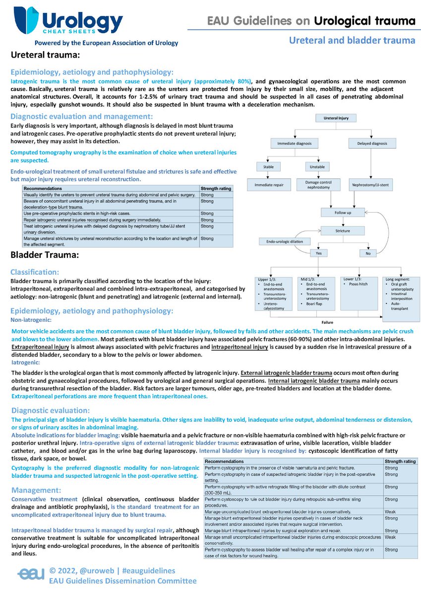 CheatUrology's tweet photo. #EAUUrologyCheatSheets, an initiative promoted by the EAU-Guidelines Office Dissemination Committee and #UrologyCheatsheets continue to be a practical tool to keep up to date with #EAUguidelines. 

Don´t miss the latest sheet on #Urologicaltrauma (ureteral and bladder trauma). https://t.co/03J9wy7hIh