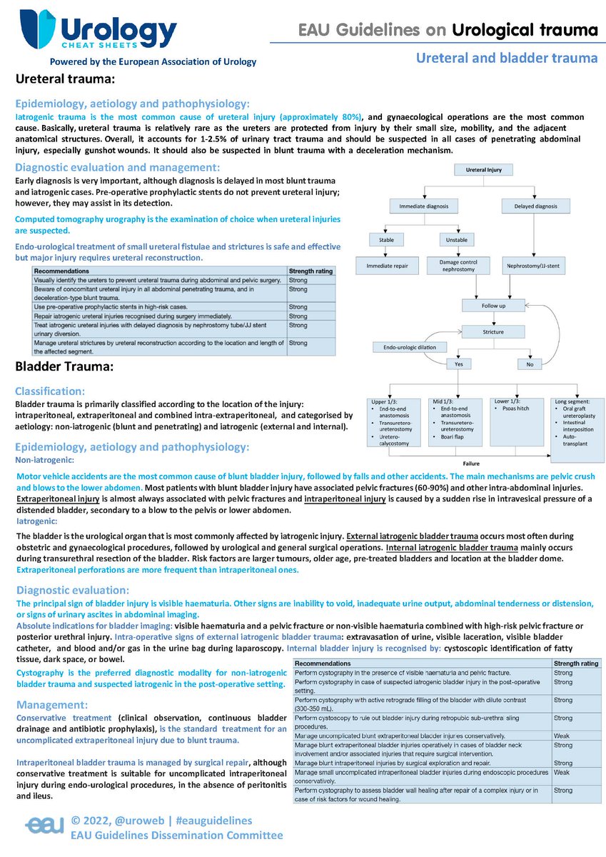 #EAUUrologyCheatSheets, an initiative promoted by the EAU-Guidelines Office Dissemination Committee and #UrologyCheatsheets continue to be a practical tool to keep up to date with #EAUguidelines. 

Don´t miss the latest sheet on #Urologicaltrauma (ureteral and bladder trauma).