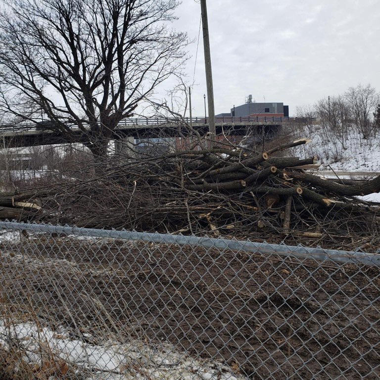 Ward2Hamilton's tweet photo. For those in the North End who are being impacted by the CN Railway clearcutting, we’re aware and are reaching out to see if we can get them to pause and talk to us. #HamOnt 😔 https://t.co/FnBvv767az
