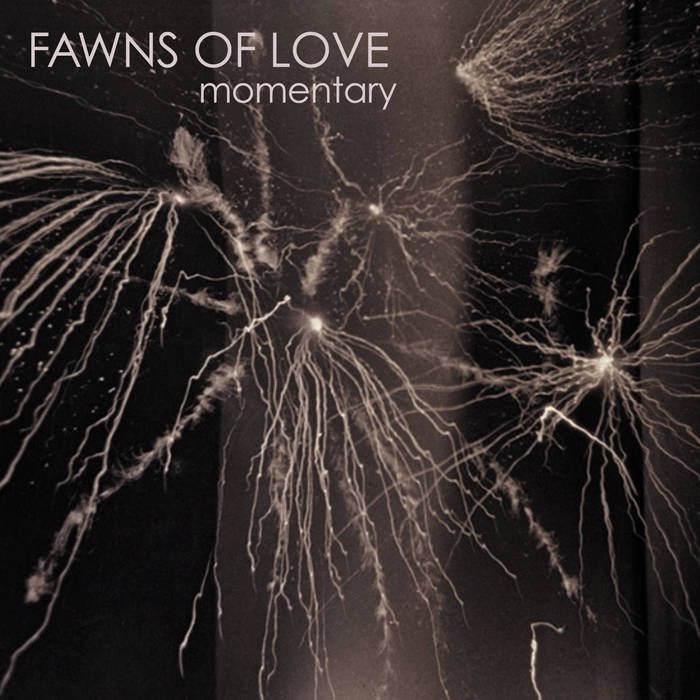 fawnsoflove's tweet image. We have a new CDEP coming out on GLASS MODERN (SUPER LIMITED EDITION).
You can listen to the new version of “Mournful Eyes” and preorder the CDEP at:
glassmodern.bandcamp.com/album/momentary