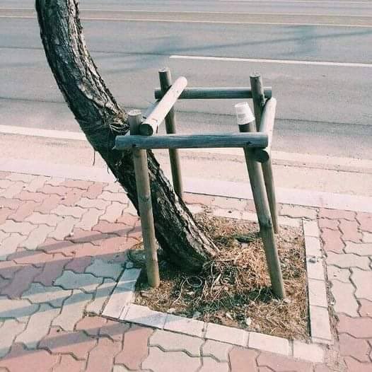 jlmartinnogales's tweet image. Rebeldía.